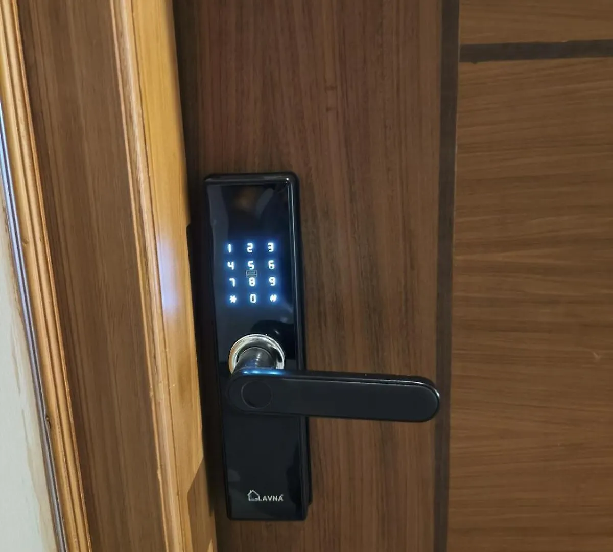 Posh 1 Bhk Apt With Temple View In Guruvayur B1001 Apartment
